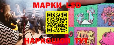 шишки Магадан