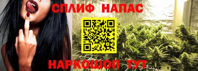 шишки Магадан