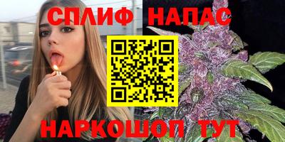 индика Майкоп