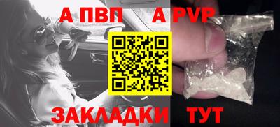 индика Майкоп