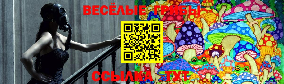 что такое   Псилоцибиновые грибы Magic Shrooms  Вход с VPN  Белебей  Псилоцибиновые грибы прущие грибы 